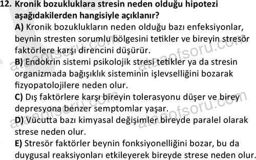 ata sosyalhizmlisans 2377 12