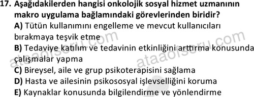 ata sosyalhizmlisans 2377 17