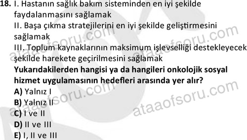ata sosyalhizmlisans 2377 18