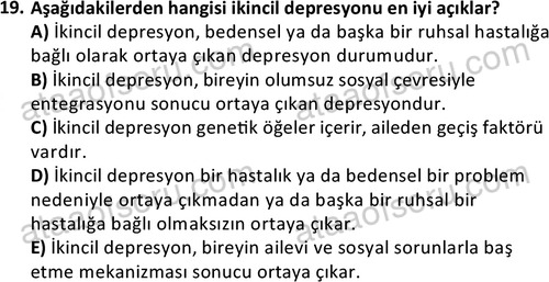ata sosyalhizmlisans 2377 19