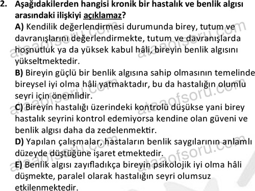 ata sosyalhizmlisans 2377 2