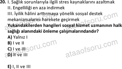 ata sosyalhizmlisans 2377 20
