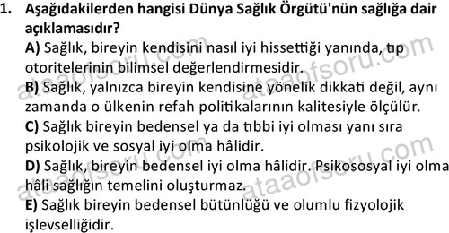 ata sosyalhizmlisans 2377 1