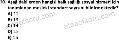 ata sosyalhizmlisans 2377 10