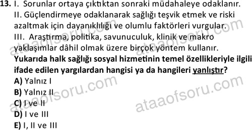 ata sosyalhizmlisans 2377 13