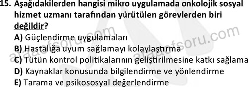 ata sosyalhizmlisans 2377 15