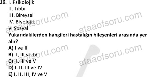 ata sosyalhizmlisans 2377 16