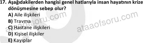 ata sosyalhizmlisans 2377 17