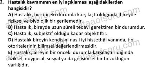 ata sosyalhizmlisans 2377 2