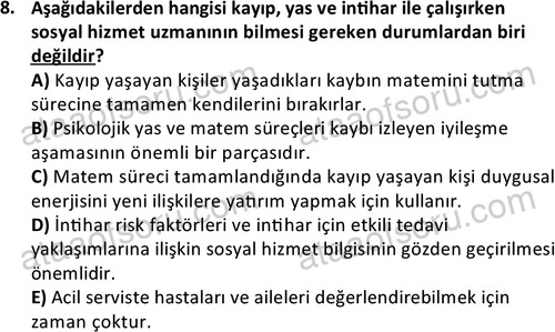 ata sosyalhizmlisans 2377 8