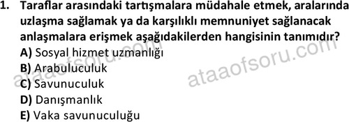 ata sosyalhizmlisans 2377 1