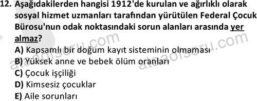 ata sosyalhizmlisans 2377 12