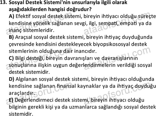 ata sosyalhizmlisans 2377 13