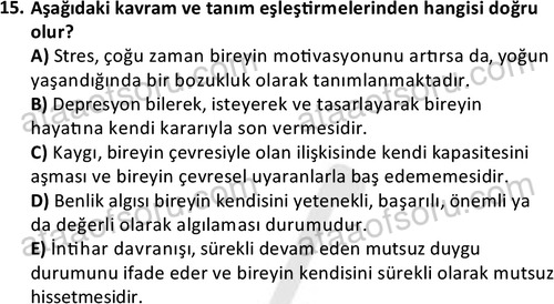 ata sosyalhizmlisans 2377 15