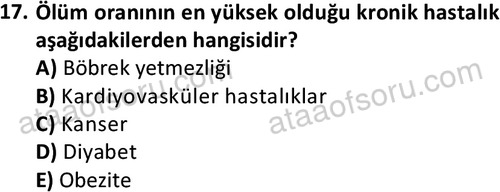 ata sosyalhizmlisans 2377 17