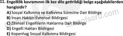 ata sosyalhizmlisans 2378 11