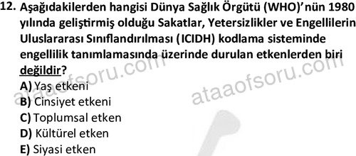ata sosyalhizmlisans 2378 12