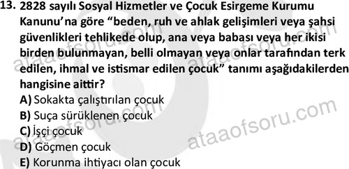ata sosyalhizmlisans 2378 13