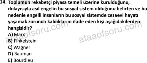 ata sosyalhizmlisans 2378 14