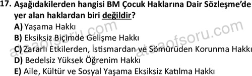 ata sosyalhizmlisans 2378 17