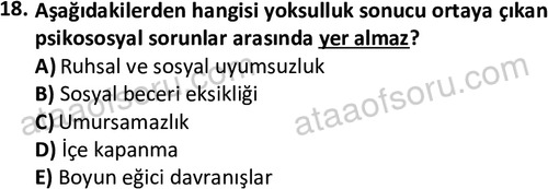 ata sosyalhizmlisans 2378 18