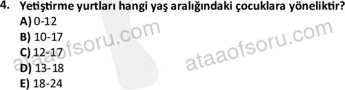 ata sosyalhizmlisans 2378 4
