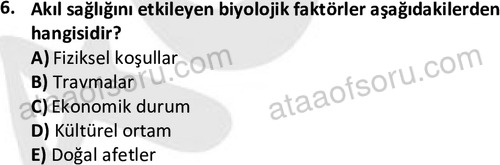 ata sosyalhizmlisans 2378 6
