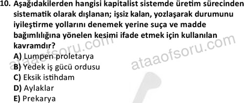 ata sosyalhizmlisans 2378 10