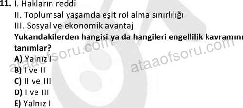 ata sosyalhizmlisans 2378 11