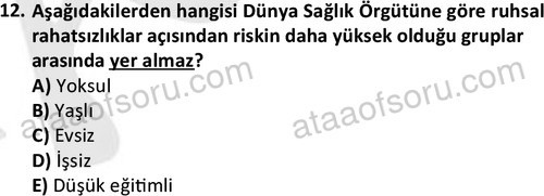 ata sosyalhizmlisans 2378 12