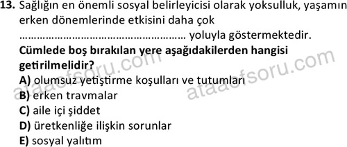 ata sosyalhizmlisans 2378 13
