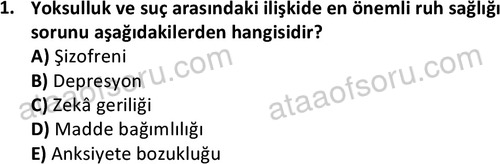 ata sosyalhizmlisans 2378 1