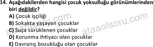 ata sosyalhizmlisans 2378 14