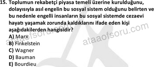 ata sosyalhizmlisans 2378 15