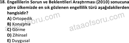 ata sosyalhizmlisans 2378 18