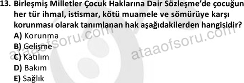 ata sosyalhizmlisans 2378 13