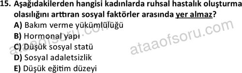 ata sosyalhizmlisans 2378 15