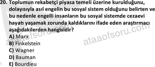ata sosyalhizmlisans 2378 20