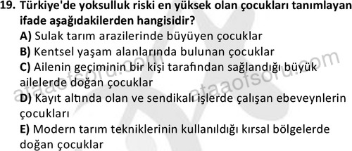 ata sosyalhizmlisans 2378 19
