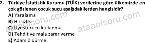 ata sosyalhizmlisans 2378 2