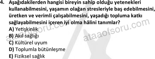 ata sosyalhizmlisans 2378 4