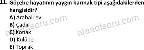 ata sosyoloji 2391 11