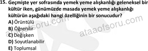 ata sosyoloji 2391 15