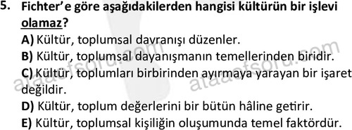 ata sosyoloji 2391 5