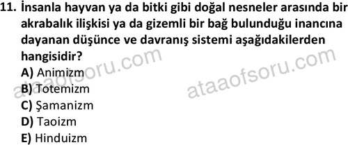 ata sosyoloji 2391 11