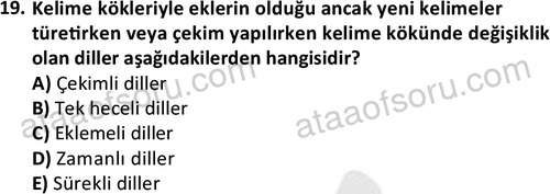 ata sosyoloji 2391 19