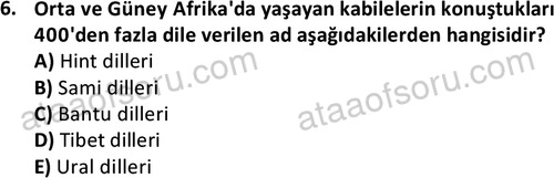 ata sosyoloji 2391 6