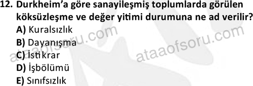 ata sosyoloji 2402 12