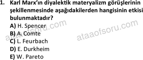 ata sosyoloji 2402 1