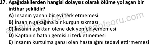 ata sosyoloji 2402 17